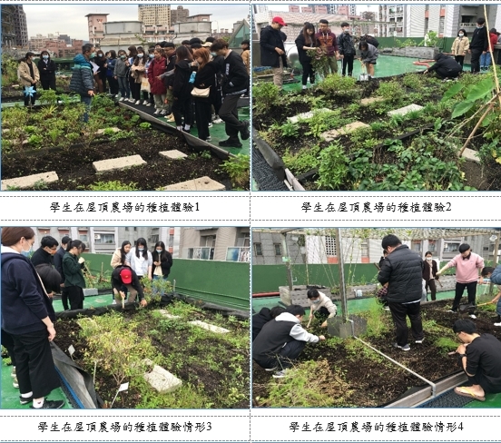 屋頂農場